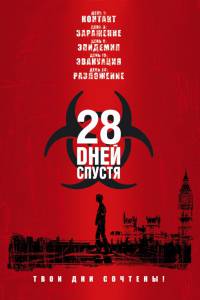   28    / 28 Days Later...