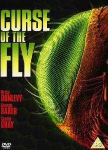      / Curse of the Fly